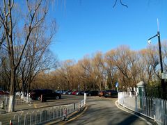 -奥林匹克森林公园南门-停车场