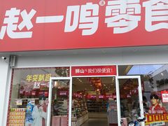 -赵一鸣零食(广东佛山狮山镇万民广场店)
