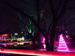 -枫花园汽车电影院(朝阳公园店)