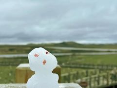 -黄河九曲第一湾