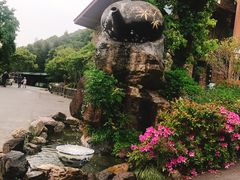 -东海大峡谷