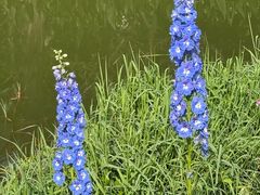 -人民公园(罗湖区)