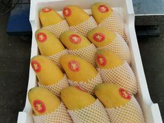 -西郊国际农产品交易中心