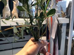 -格蕾花坊(民盈·国贸城店)