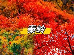 -秦岭风景区