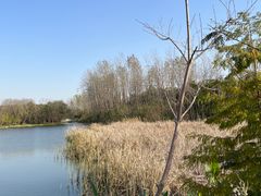 -昆山城市生态森林公园