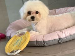 -宠颐生宠物医院·骨外科·犬猫全科诊疗中心(池州店)