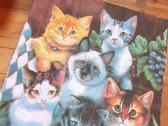 -李小姐の猫咖啡馆(五角场店)