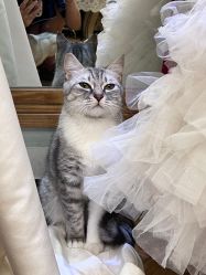 -金夫人婚纱摄影(总店)