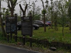 -广富林郊野公园-P6停车场