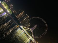 -金冠烤香鸡