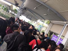 -国际邮轮中心码头(厦鼓码头)