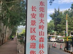 -东莞市大岭山森林公园