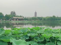-西海子公园