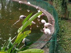 -九龙公园