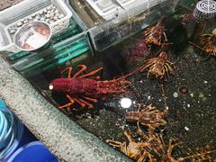 -老船夫婚宴婚庆会馆(延吉路店)