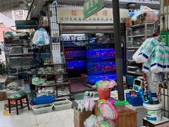 -武汉花鸟市场