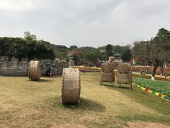 -松山湖梦幻百花洲