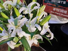 -双合园·海鲜水饺青岛菜(品牌首店)
