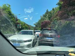 -长沙黑麋峰国家森林公园