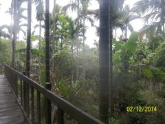 -七仙岭温泉国家森林公园