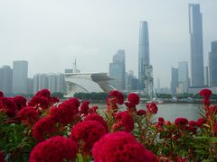 -珠江夜游广州塔·中大码头