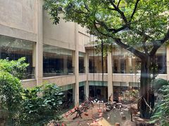 -麒麟中餐厅·经典粤菜·地道菜式老字号(广州长隆酒店)