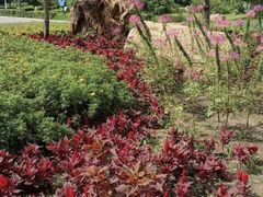 -长春公园(普阳街道)