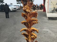 -龙头岩(Dragon Head Rock)