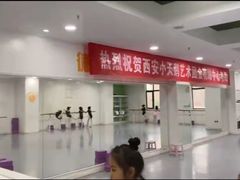 -西安小天鹅艺术团(金花路校区)