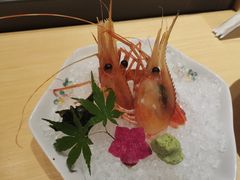 超大的牡丹虾-本逸·割烹料理(湖墅店)