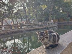 -西园戒幢律寺
