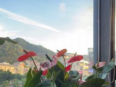 -粤点越有·茶点·粤菜(樵岭国际店)