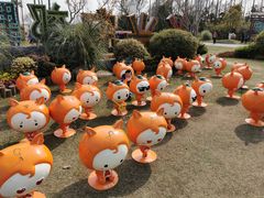 -上海长兴岛郊野公园