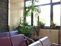 -中国中医科学院望京医院(院本部)