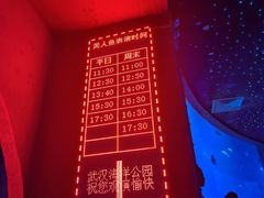 -海合安武汉极地海洋公园