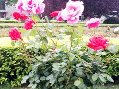 -星美国际影城(蓝湾店)