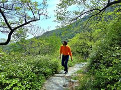 -阳台山自然风景区