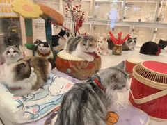 -囡的喵喵酱·萌宠生活馆·宠物洗护美容(胶州路店)