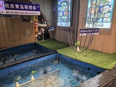 -云海肴云南菜·蒸汽石锅鱼(青岛万象城店)