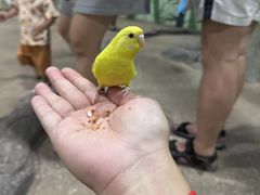 -时尚天河商业广场