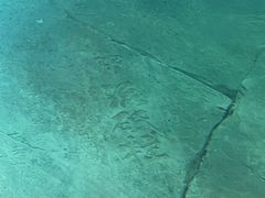 -白鹤梁水下博物馆