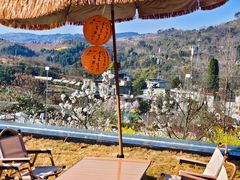 -桃源山庄·水蜜桃采摘·柴火鸡·烧烤团建(龙泉山店)