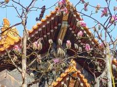 -东华门大街小区