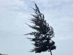 -白沙门生态公园