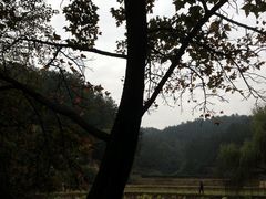 -韶山毛泽东同志故居