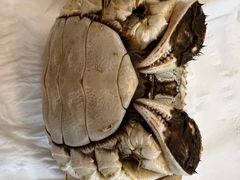 -阳澄湖大闸蟹·琼灵阁牌品牌连锁(吴中总店)