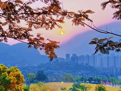 -白石龙音乐公园