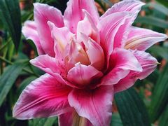 -郑州中国绿化博览园