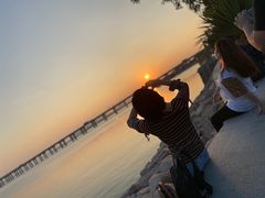 -宝安西湾红树林湿地公园